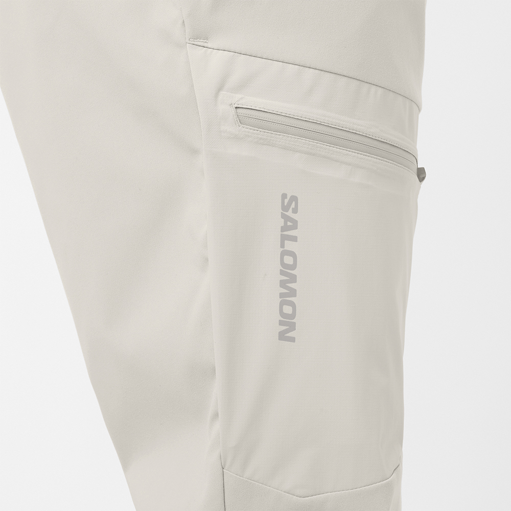 Треккинговые брюки мужские Salomon Outerpath Utility 