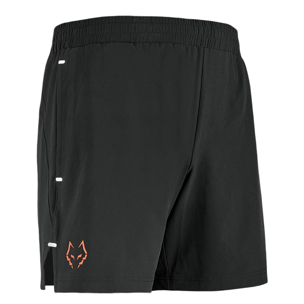 Шорты спортивные мужские Babolat Lebron Шорты спортивные мужские Babolat Lebron