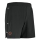 Шорты спортивные мужские Babolat Lebron Шорты спортивные мужские Babolat Lebron