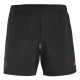 Шорты спортивные мужские Babolat Lebron Шорты спортивные мужские Babolat Lebron