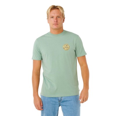 Футболка мужская Rip Curl Streamline palmy 
