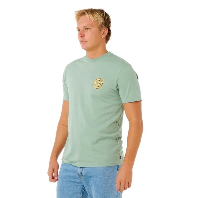 Футболка мужская Rip Curl Streamline palmy 