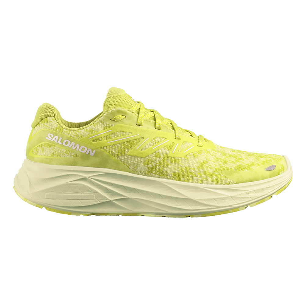 Кроссовки для бега мужские Salomon Aero Glide 2 