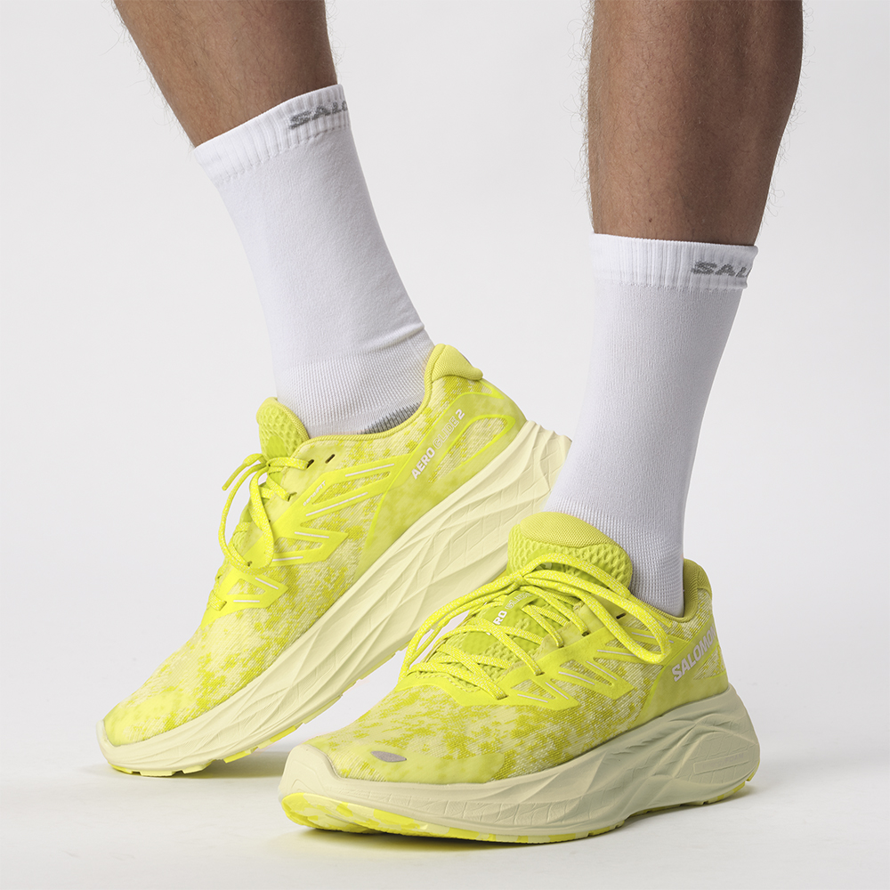 Кроссовки для бега мужские Salomon Aero Glide 2 