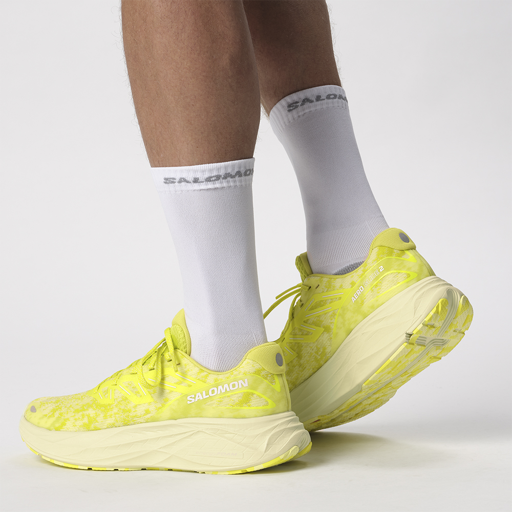 Кроссовки для бега мужские Salomon Aero Glide 2 