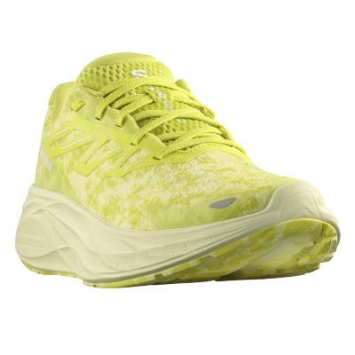 Кроссовки для бега мужские Salomon Aero Glide 2 