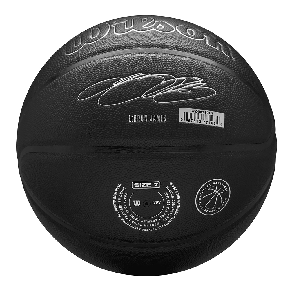 Мяч баскетбольный Wilson NBA Player Nightmode Lebron 
