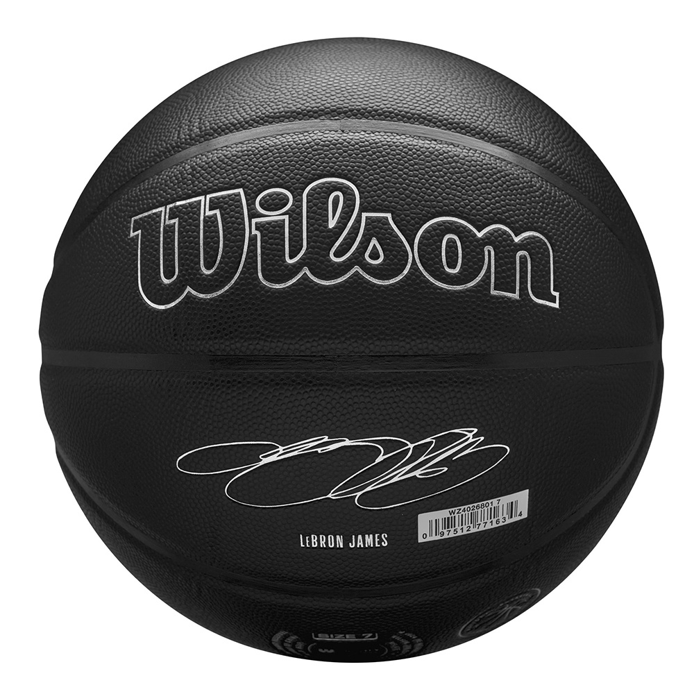Мяч баскетбольный Wilson NBA Player Nightmode Lebron 