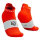Носки Compressport Pro Racing Socks v4.0 Run Low Носки Compressport Pro Racing Socks v4.0 Run Low