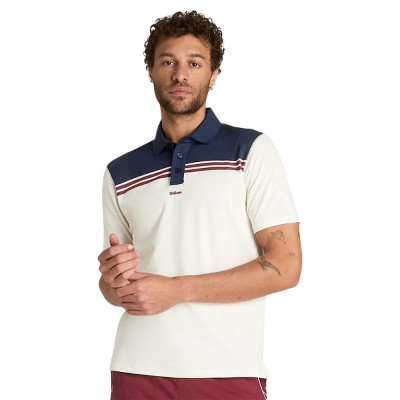 Футболка-поло мужская Wilson SWP M All Seasons Polo Футболка-поло мужская Wilson SWP M All Seasons Polo