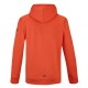 Толстовка мужская Babolat Exercise Hood Sweat 