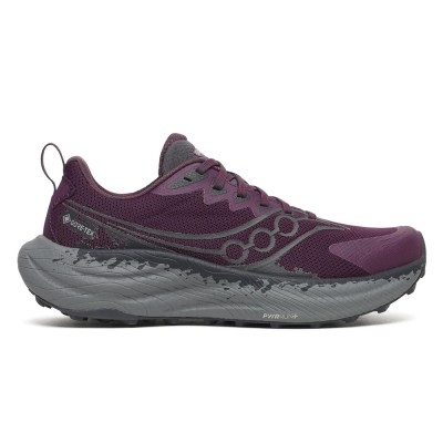 Кроссовки для бега женские Saucony Ride Tr3 Gtx 