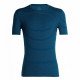 Футболка мужская Icebreaker Anatomica