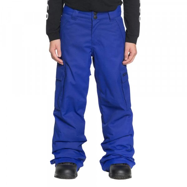Брюки сноубордические детские DC Shoes Banshee