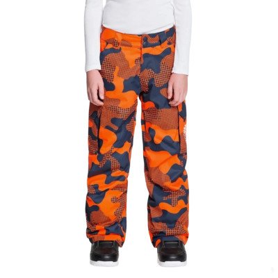 Брюки сноубордические подростковые DC Shoes Banshee Yth Pnt B Snpt