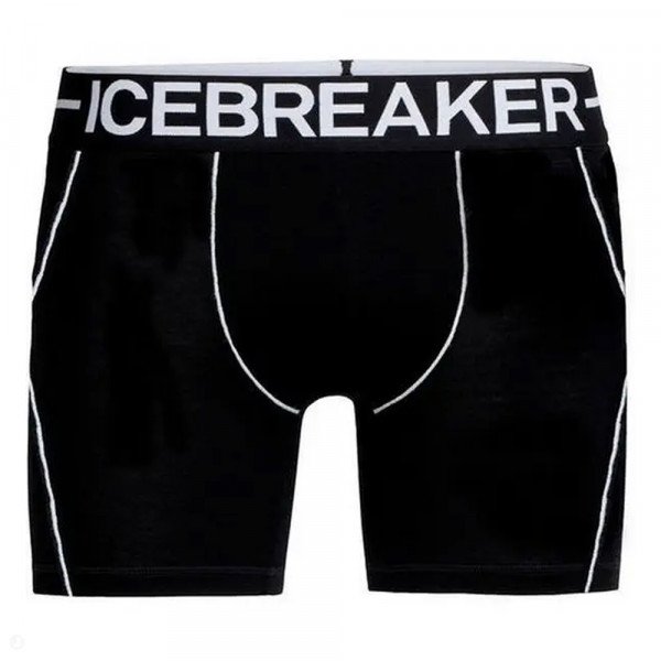 Термотрусы-боксеры мужские Icebreaker Anatomica