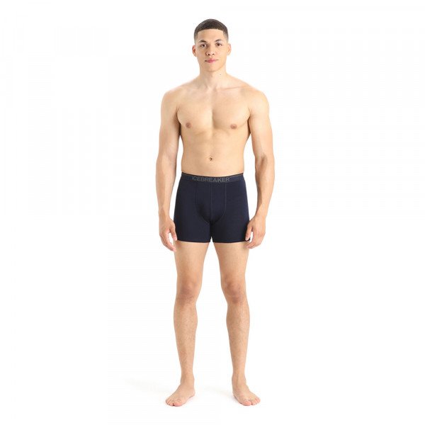 Термотрусы-боксеры мужские Icebreaker Anatomica