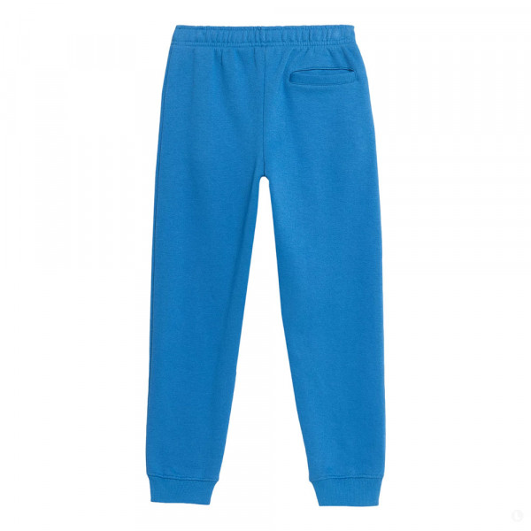 Спортивные брюки детские 4F Cotton Boy синий