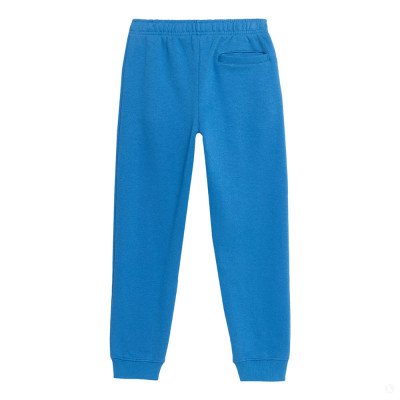 Спортивные брюки детские 4F Cotton Boy синие Спортивные брюки детские 4F Cotton Boy синие