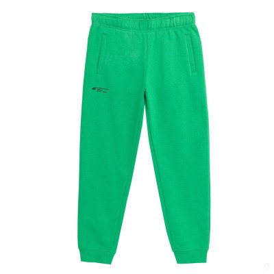 Спортивные брюки детские 4F Cotton Boy зеленый Спортивные брюки детские 4F Cotton Boy зеленый