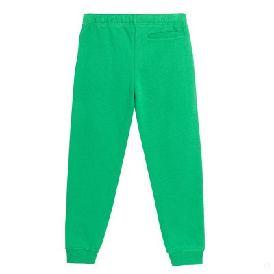 Спортивные брюки детские 4F Cotton Boy зеленый Спортивные брюки детские 4F Cotton Boy зеленый