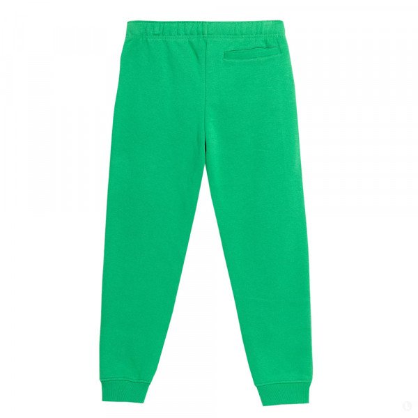 Спортивные брюки детские 4F Cotton Boy зеленый