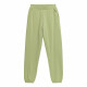 Спортивные брюки женские 4F Sportstyle зеленый