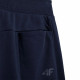 Спортивные брюки мужские 4F Sportstyle синий