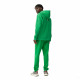 Спортивные брюки мужские 4F Sportstyle зеленый