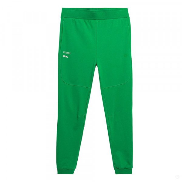 Спортивные брюки мужские 4F Sportstyle зеленые