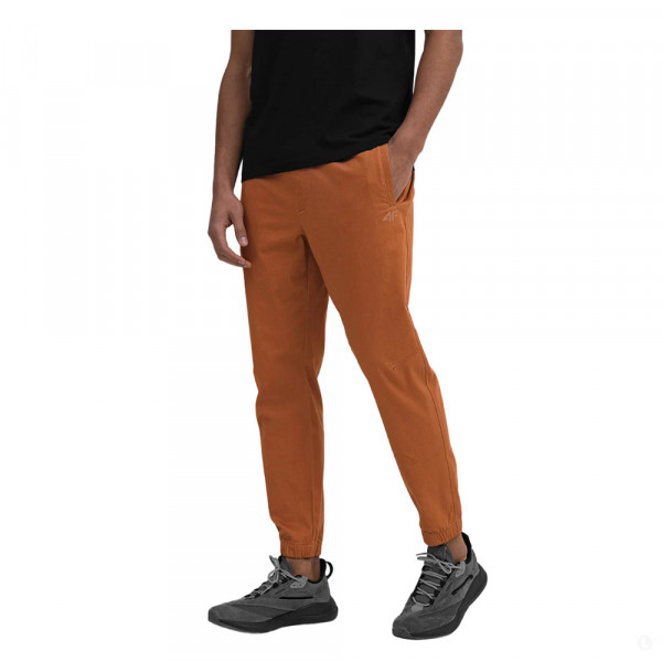 Повседневные брюки мужские 4F Sportstyle коричневый