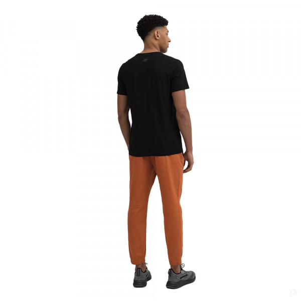 Повседневные брюки мужские 4F Sportstyle коричневый