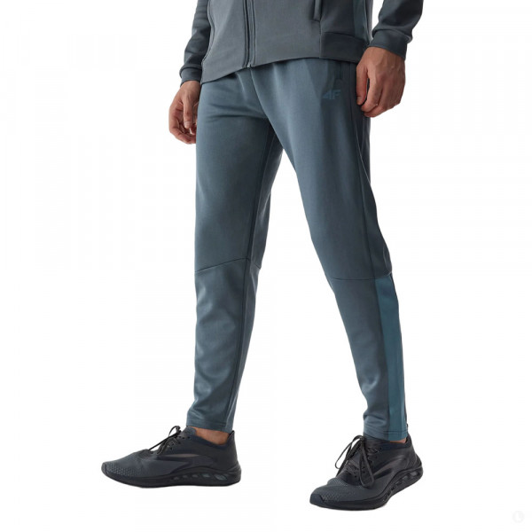 Спортивные брюки мужские 4F Training серый