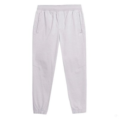 Повседневные брюки мужские 4F Sportstyle серые Повседневные брюки мужские 4F Sportstyle серые