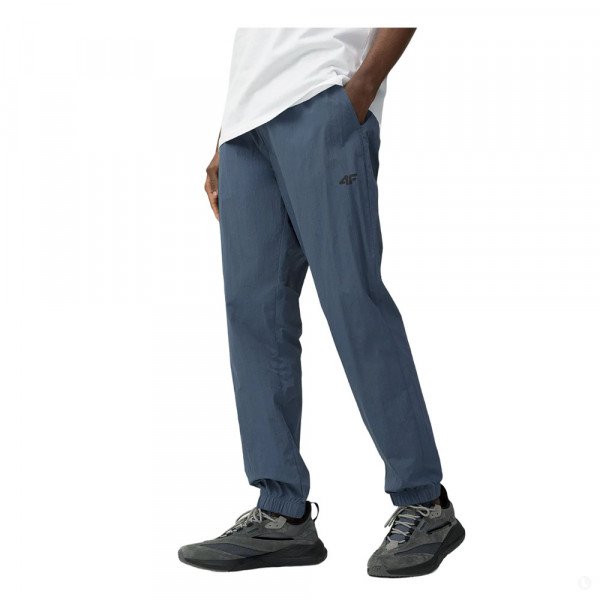 Спортивные брюки мужские 4F Sportstyle синие