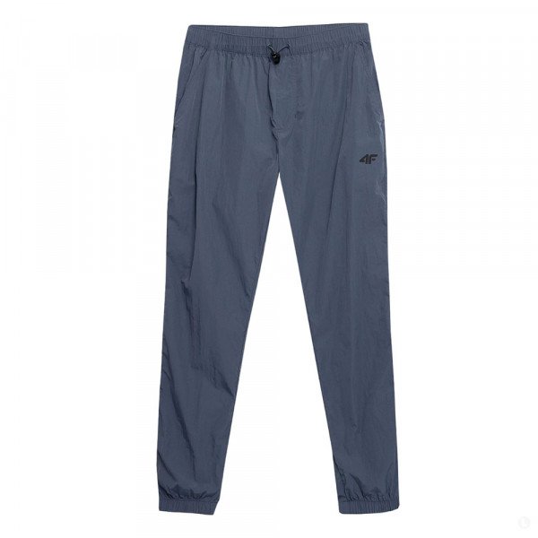 Спортивные брюки мужские 4F Sportstyle синие