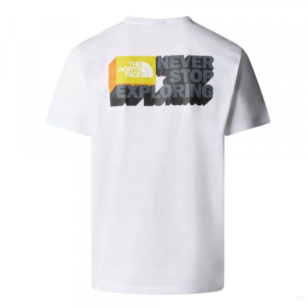 Футболка мужская The North Face Nse Graphic