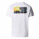 Футболка мужская The North Face Nse Graphic