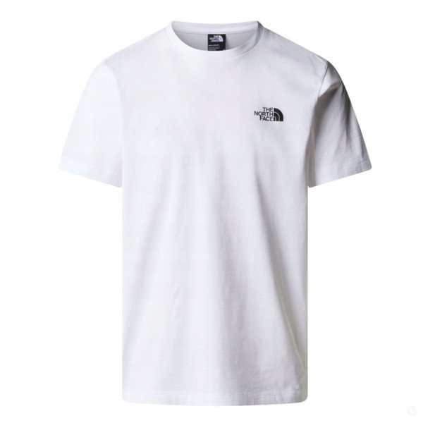 Футболка мужская The North Face Nse Graphic