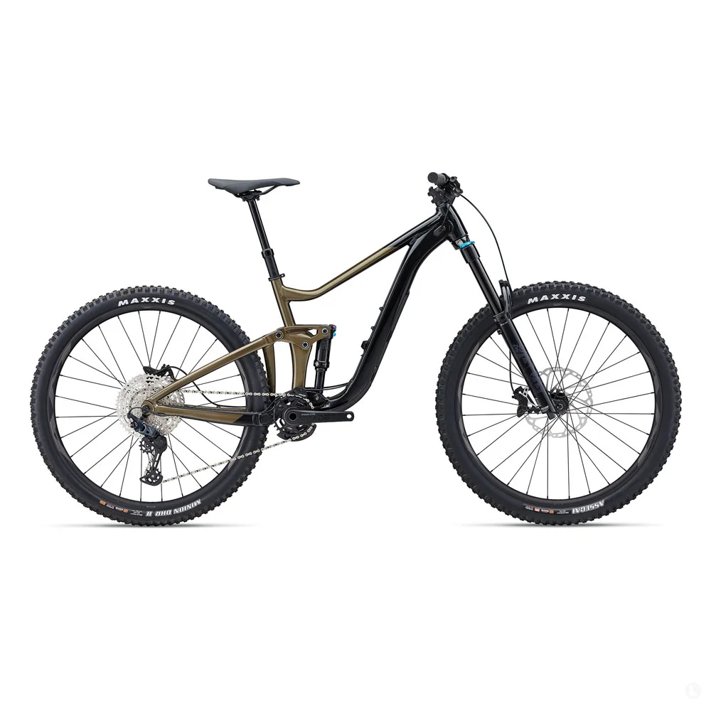 Giant reign 2 2010 on sale