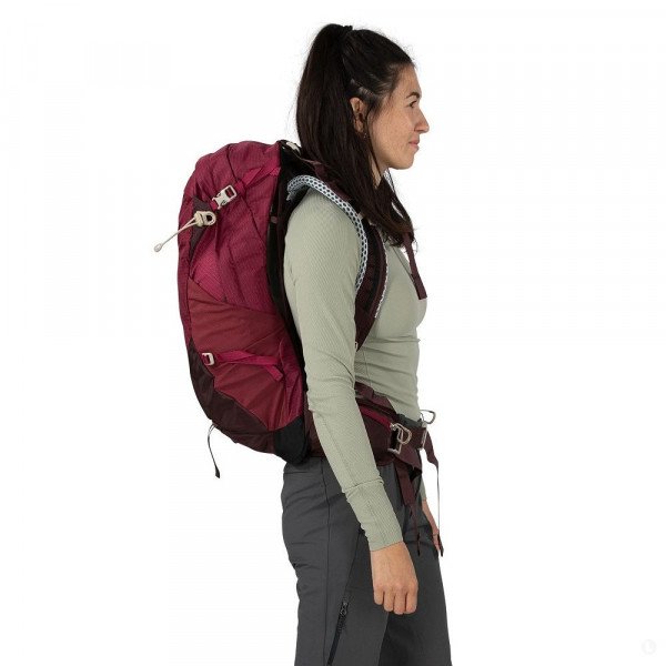 Рюкзак туристический Osprey Sirrius 24 фиолетовый Рюкзак туристический Osprey Sirrius 24 фиолетовый