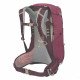 Рюкзак туристический Osprey Sirrius 24 фиолетовый Рюкзак туристический Osprey Sirrius 24 фиолетовый