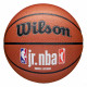 Мяч баскетбольный Wilson NBA JR FAM Logo indoor/outdoor 6
