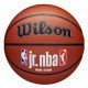 Мяч баскетбольный Wilson NBA JR FAM Logo indoor/outdoor 7