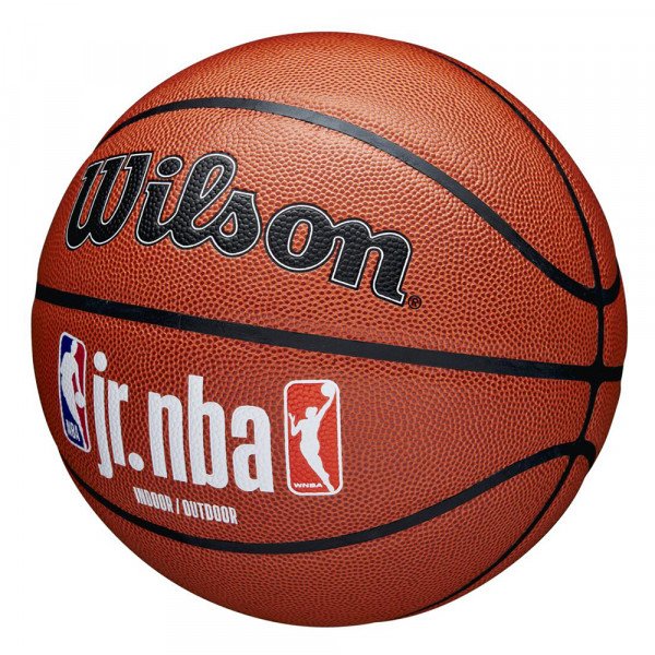 Мяч баскетбольный Wilson NBA JR FAM Logo indoor/outdoor 7