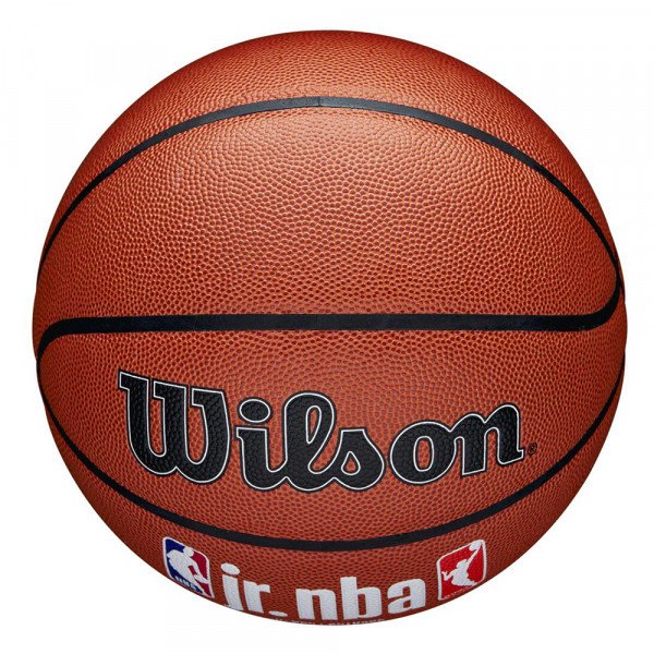 Мяч баскетбольный Wilson NBA JR FAM Logo indoor/outdoor 7