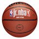 Мяч баскетбольный Wilson NBA JR FAM Logo indoor/outdoor 7