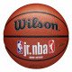 Мяч баскетбольный Wilson NBA JR FAM Logo indoor/outdoor 7