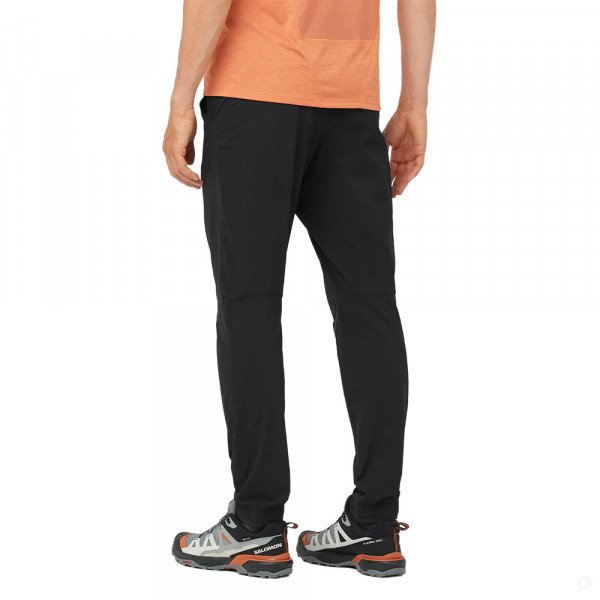 Треккинговые брюки мужские Salomon Wayfarer Ease