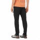 Треккинговые брюки мужские Salomon Wayfarer Ease